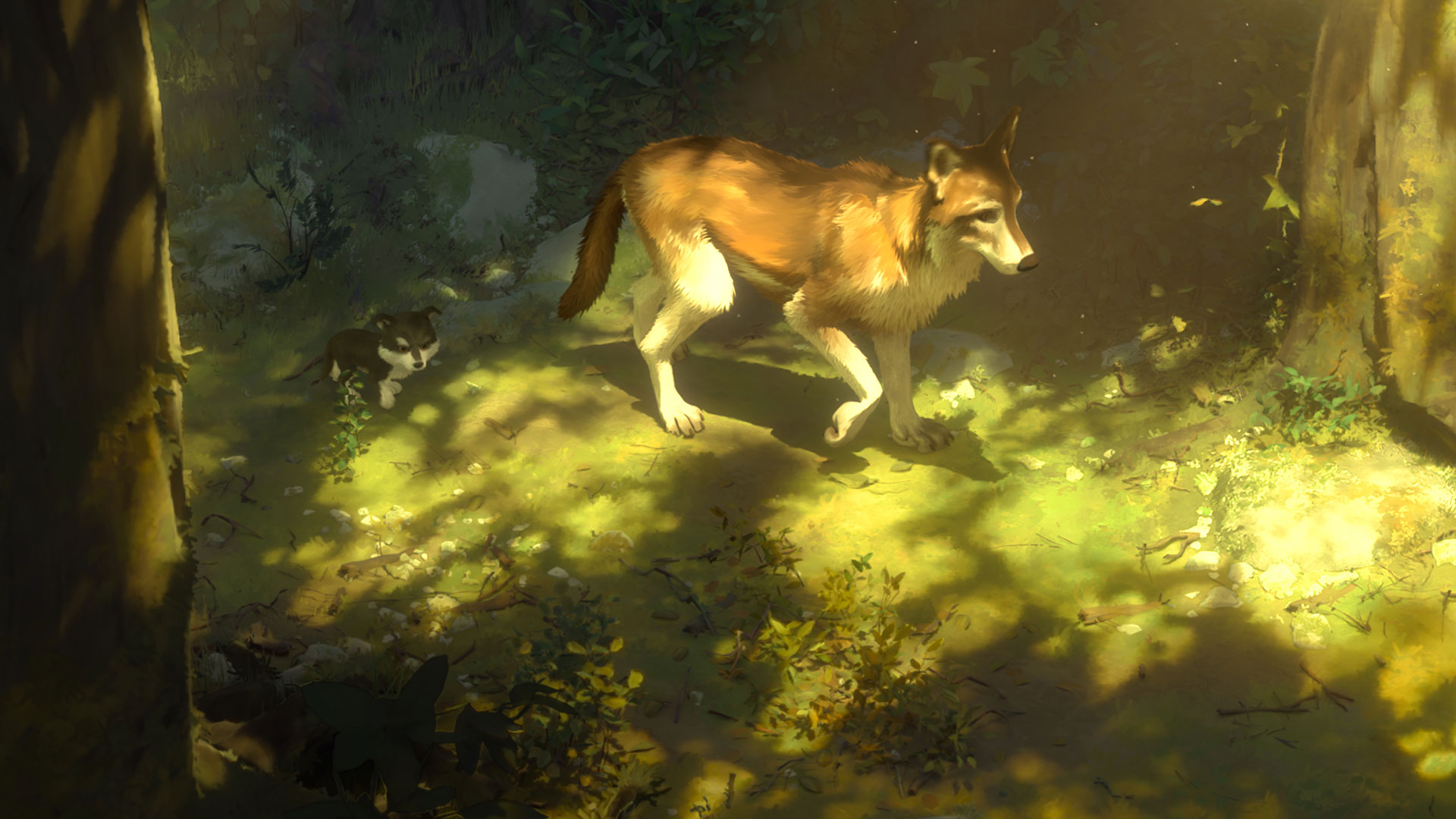 WHITE FANG