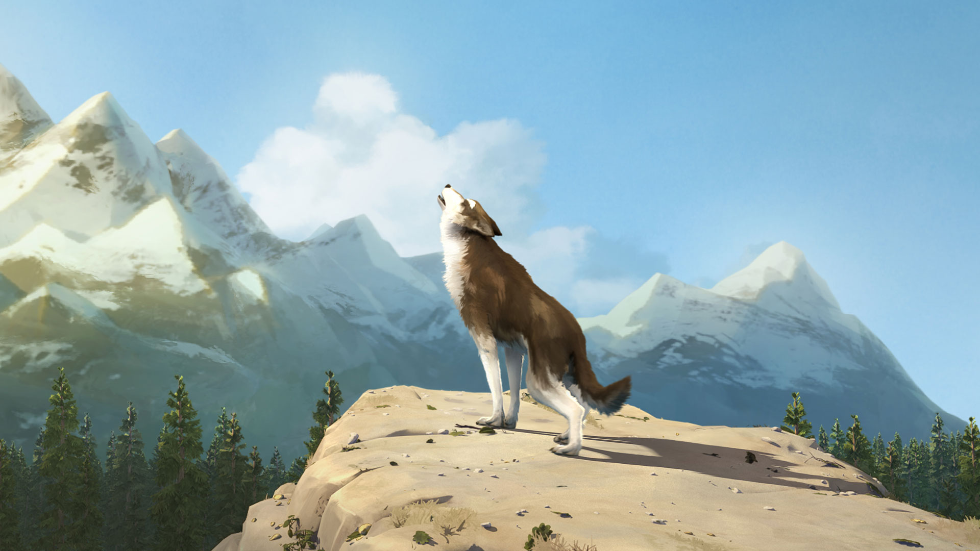 WHITE FANG
