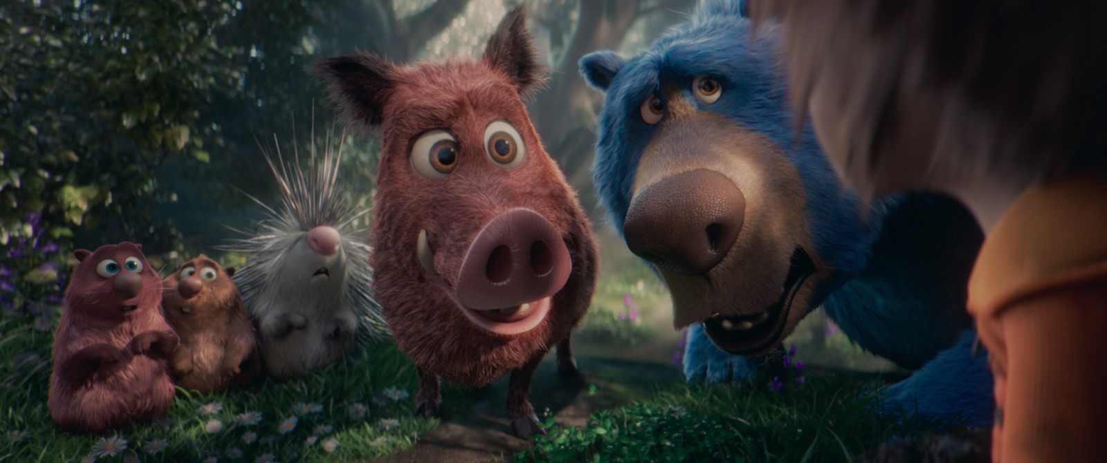 WONDER PARK